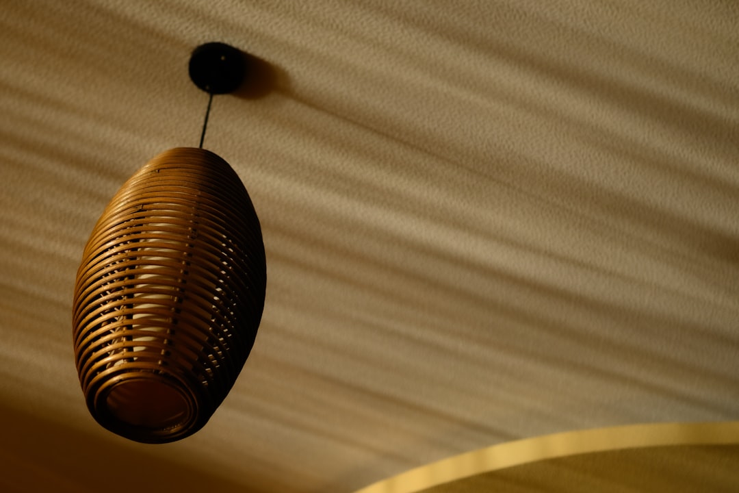Photo fiber pendant light